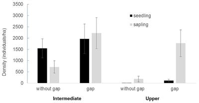 Abies religiosa Seedling Limitations for Passive Restoration Practices at the Monarch Butterfly Biosphere Reserve in Mexico